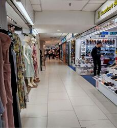Lucky Plaza (D9), Shop House #579053841